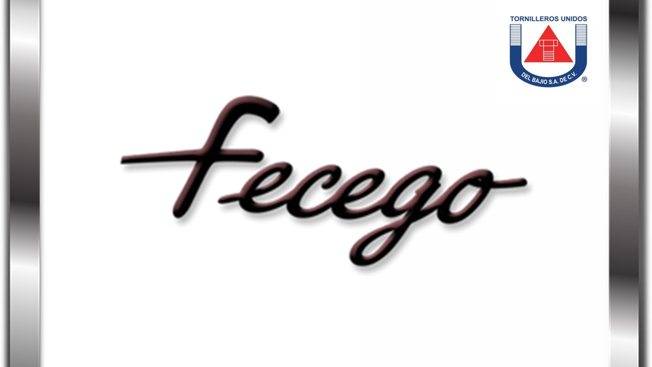 FECEGO TORNILLEROS UNIDOS DEL BAJIO
